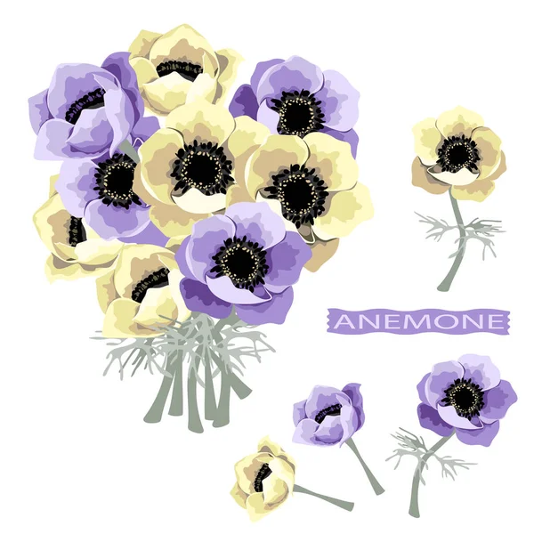 紫のイソギンチャクの花と花束のセット 植物性 ベクターイラスト — ストックベクタ