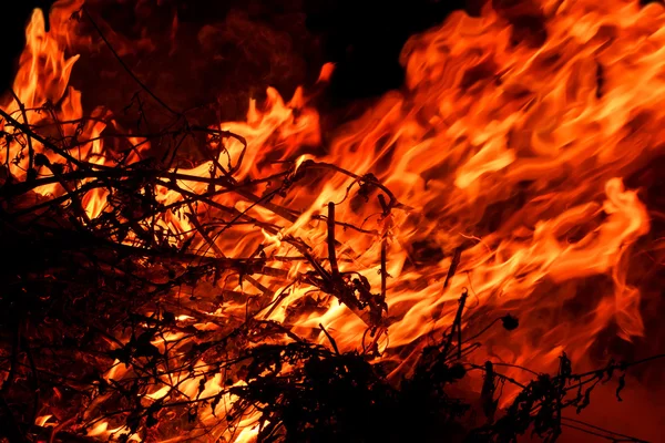 Red  hot blazing fire on black background (the concept of risk of forest fires) — Stock Photo, Image