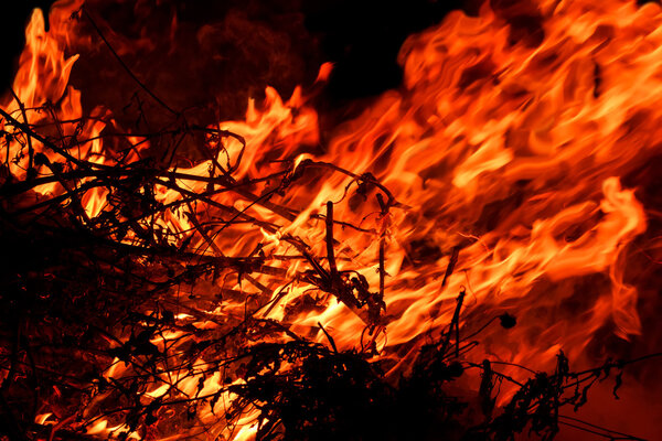 red  hot blazing fire on black background (the concept of risk of forest fires)