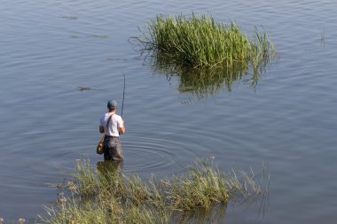 Balıkçı bir balık Volga peals yakalar. Sazan ve bas akışı yakalamak. Sağlıklı yaşam tarzı.