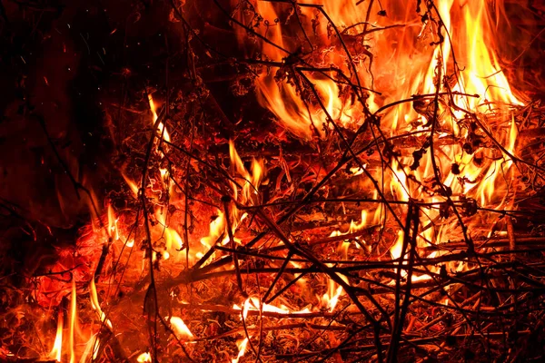 Rot Glühendes Feuer Auf Schwarzem Hintergrund Die Gefahr Eines Flächenbrandes — Stockfoto