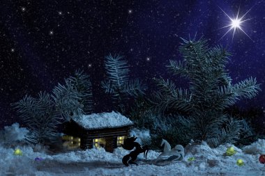 Işıklar içinde Noel yıldızı, köknar ve yıldız ile siyah arka plan ile dekoratif ahşap ev önce siyah ve beyaz atlar. Kırsal Noel gece çekimi