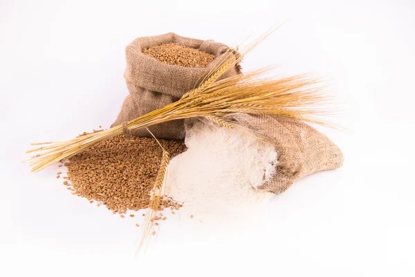 Саки пшеничних зерен — стокове фото