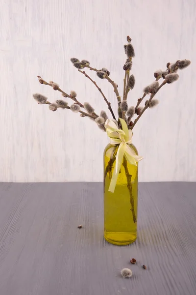 Willow branches in a yellow vase on a gray background — Stock Photo, Image