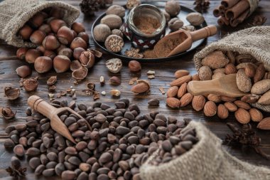 Fındık, çam fıstığı, badem ve küçük hindistan cevizi bir karanlık derevvyanny kurulu