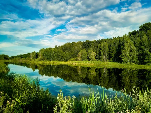 Kırsal arazi, orman ve nehir, sudaki gökyüzünün yansıması.
