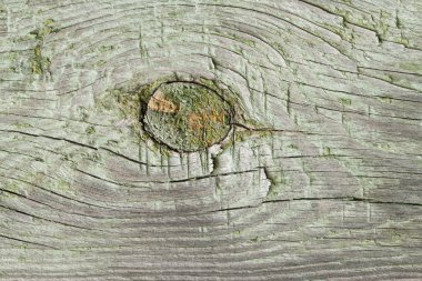 Eski boyanmış ahşap doku