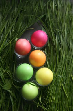 Yeşil çimlerde renkli paskalya yumurtaları