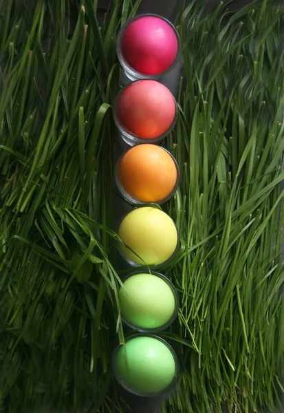 Colorful Easter Eggs Green Grass — Stock Photo, Image