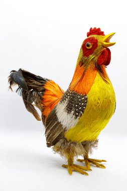 Renkli tüyleri olan Tavuskuşu modeli