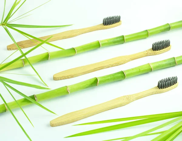 Toothbrushes White Backgroun Natural Self Care Concept Zero Waste — Stock Photo, Image