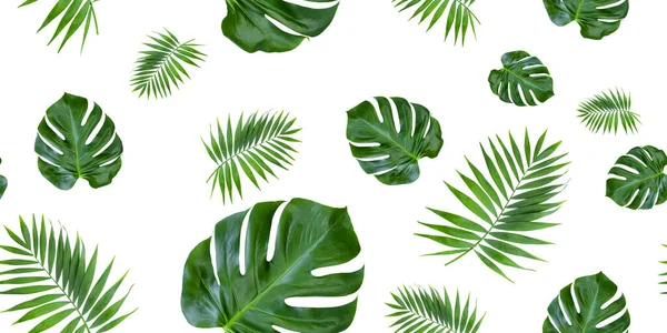緑のヤシの葉のシームレスなパターン フォトストックフォト ロイヤリティフリーのストック画像