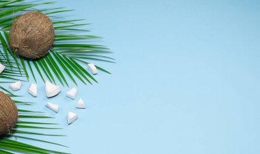 Tropikal arka plan. Hindistan cevizi. Yaprak palmiyesi, hindistan cevizi parçaları