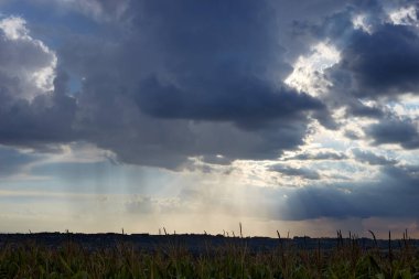 Banliyö bölgesi. Güneş ışınları bulutları kırmaya çalışır. Bir sürü renk, bir sürü bulut, bir sürü mısır.