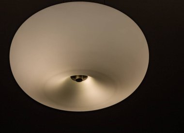 Fotoğraf kutusunda deniz kabukları. Deniz kabukları bir yerde