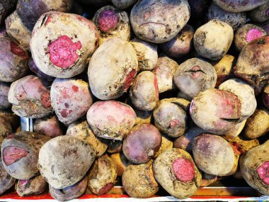 Pancar kökü (Beta vulgaris subsp. Kaba Conditiva Grubu)