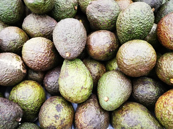 Avokado (Persea americana) meyve görüntüsü