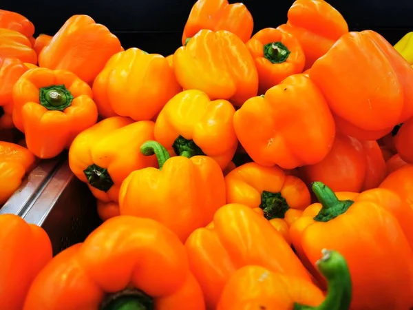 Capsicum annuum, Capsicum familyasından bir bitki türü. 