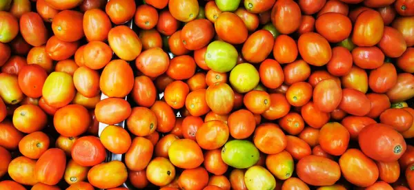 Domates, genellikle domates bitkisi olarak bilinen Solanum lycopersicum bitkisinin yenilebilir meyvesidir..