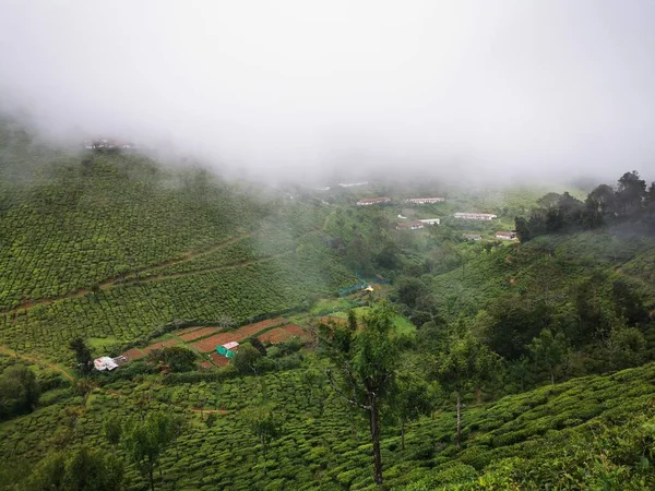 Kinnakorai Dağı Vadisi 'nde çay evleri, Nilgiris, Tamilnadu, Hindistan