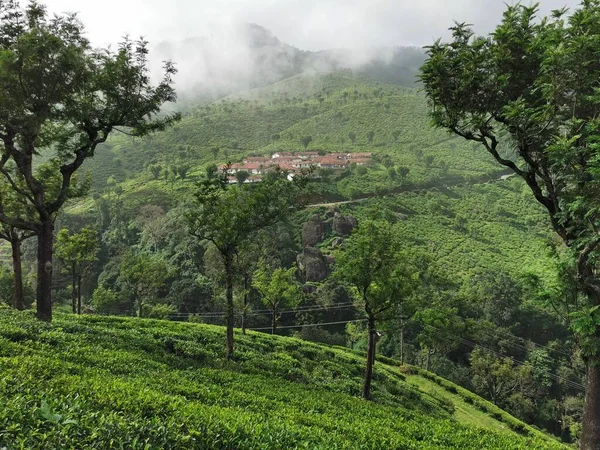 Kinnakorai Mountain Valley with tea estates, Nilgiris, Tamilnadu, India