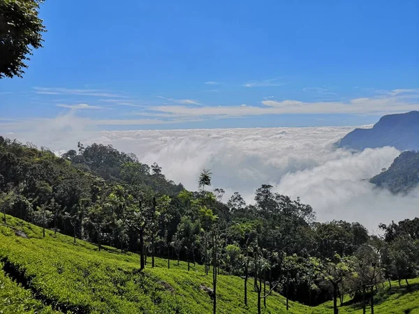 Hindistan, Tamilnadu 'daki Coonoor Dağı Vadisi' nin muhteşem manzarası 
