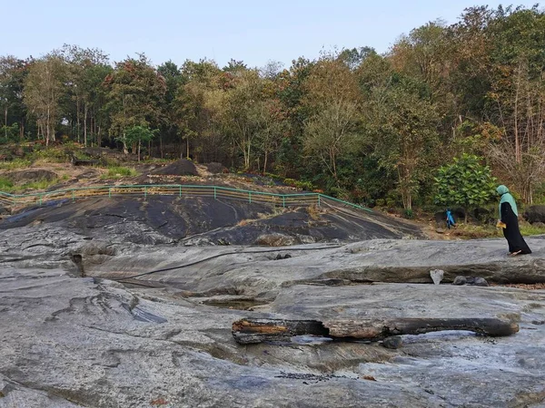 Güzel ormanı olan dev bir kaya..