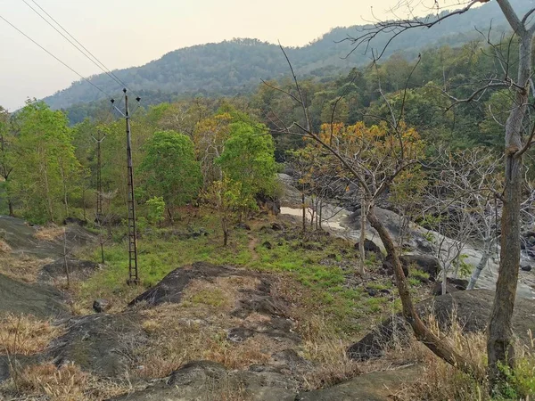 Kerala 'da yaz manzarası 