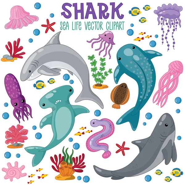 Seal life shark vector collection — Stok Vektör