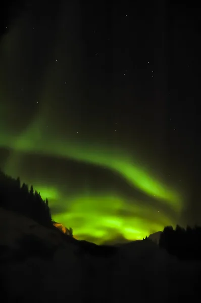 Aurora Borealis (aurores boréales) ) — Photo