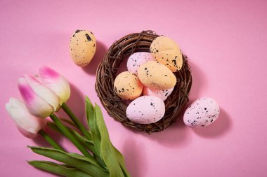 colorful Easter eggs in a nest and spring tulips on a paper pink background. close-up, copy space