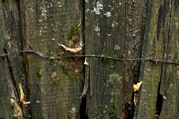 Oud Houten Hek Met Roestig Prikkeldraad Close Zicht — Stockfoto