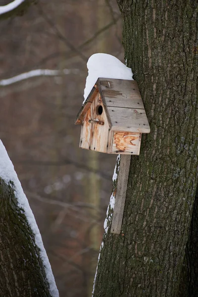 Een Houten Vogelhuisje Aan Een Boom Bedekt Met Sneeuw Voor — Stockfoto