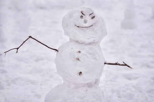 在公园里跳着雪人舞 脸上带着狡猾的表情 冬季娱乐活动 — 图库照片