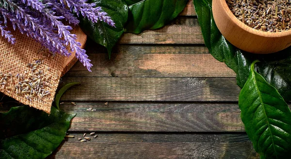 Ingredienti Fare Una Pozione Lavanda Foglie Fiori Spazio Copia Primo — Foto Stock