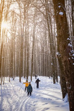Güneşli bir günde kış ormanı. Çocuklar kayağa gider.