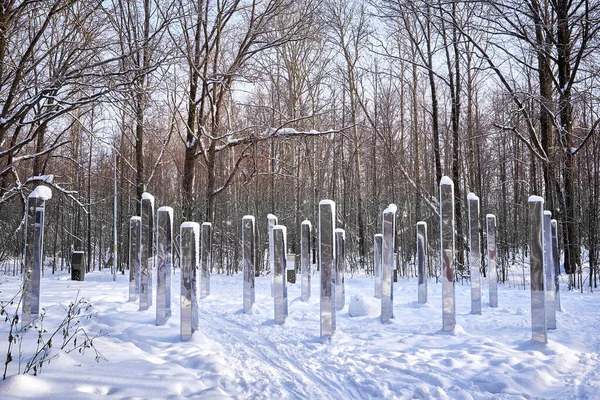 Forêt Hiver Par Une Journée Ensoleillée Piliers Miroir Labyrinthe — Photo