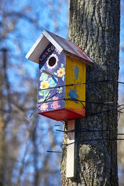 Een Prachtige Kleurrijke Houten Vogelhuisje Gebonden Met Bouwbanden Aan Een — Stockfoto