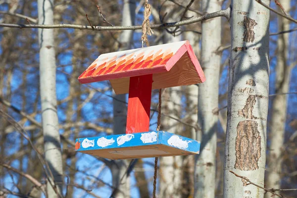 Ein Schöner Bunter Hölzerner Vogelfutterautomat Hängt Einem Ast Vor Blauem — Stockfoto