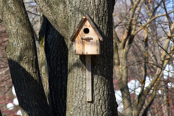 Een Oud Vintage Houten Vogelhuisje Een Boomstam Tegen Een Blauwe — Stockfoto