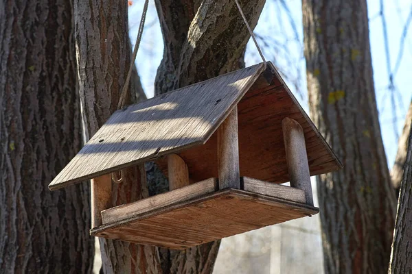 Einem Ast Vor Blauem Himmel Hängt Ein Altes Holz Frühling — Stockfoto