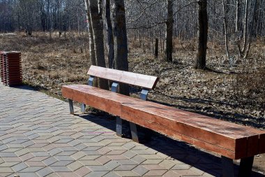 Şehir parkında ayrı çöpleri toplamak için bir bank ve bir vazo. Kamu alanlarının modern tasarımı.