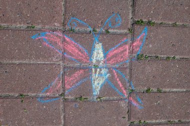 Kelebek - kaldırım taşlarına renkli tebeşirle çizilmiş çocuklar. Yakın plan.