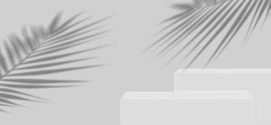 3D sahne Geometrik podyum şekilli, ürün, promosyon ve reklam için. üç boyutlu Hazırlama