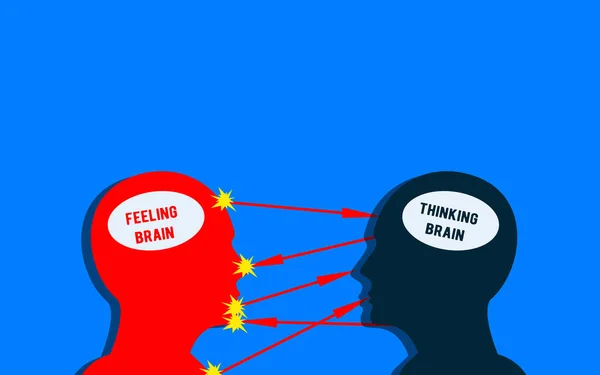 Känsla Hjärna Och Tänkande Hjärna Koncept Känslomässigt Sinne Och Förnuftigt — Stockfoto