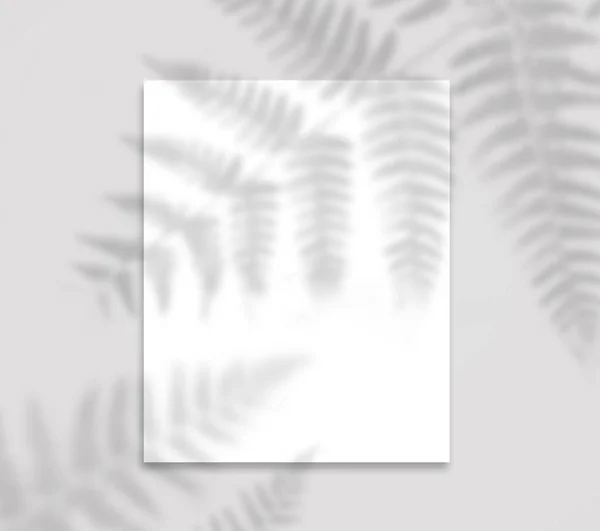 Белый Вертикальный Макет Плаката Висит Серой Стене Мягкой Тропической Тени — стоковое фото