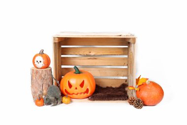 Cadılar bayramı balkabağı süslemeleri beyaz üzerine izole 