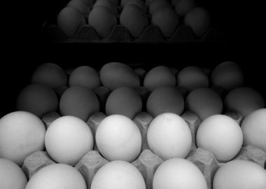 Tavuk yumurta karton kaset'stok fotoğraf ayrıntılı
