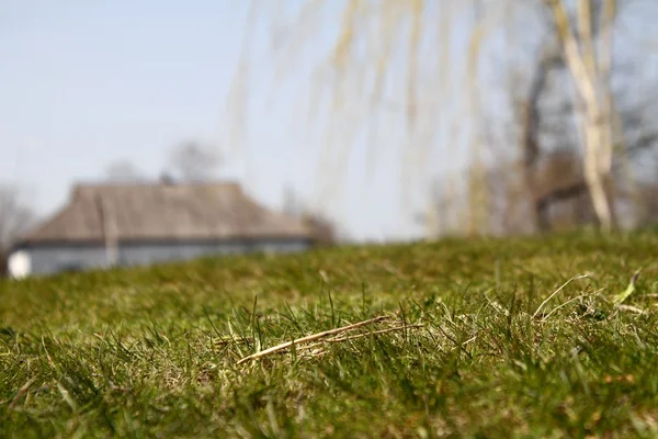 Весняний фон. Солом'яний дах заміського будинку за пагорбом трави — стокове фото