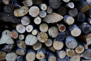 Düzenlenen meşe yığın doku arka planda kaydeder 